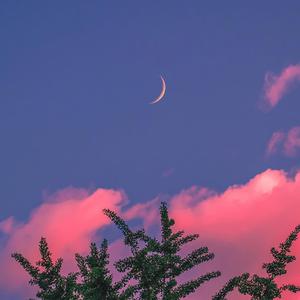 亚洲一区二区中文字幕无码
